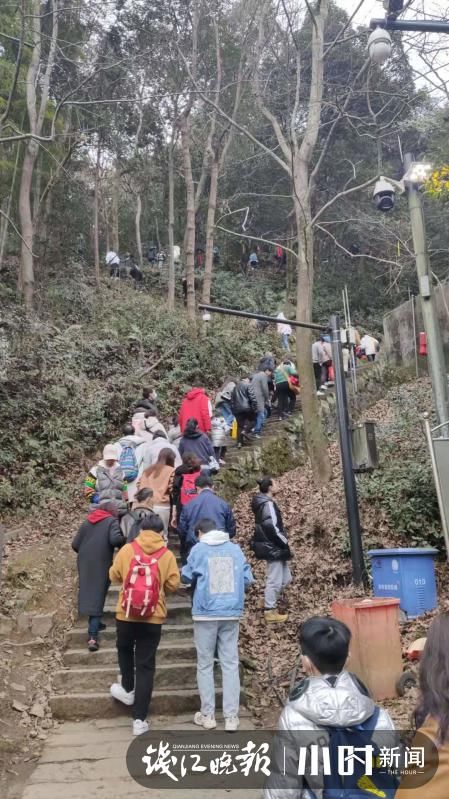 中年|4:30杭州北高峰索道已??排起长队，灵隐路热闹成“深红色”
