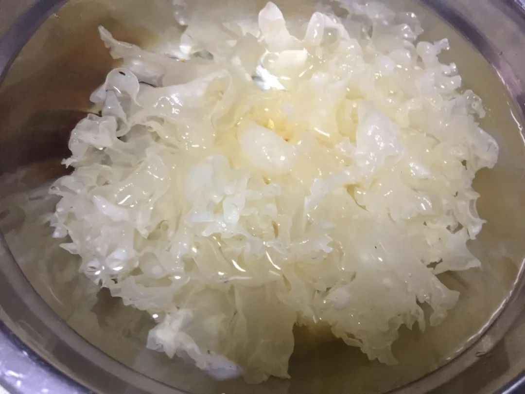 营养|泡银耳少了这一步，营养浪费，煮再久也不出胶！这里有干货泡发窍门