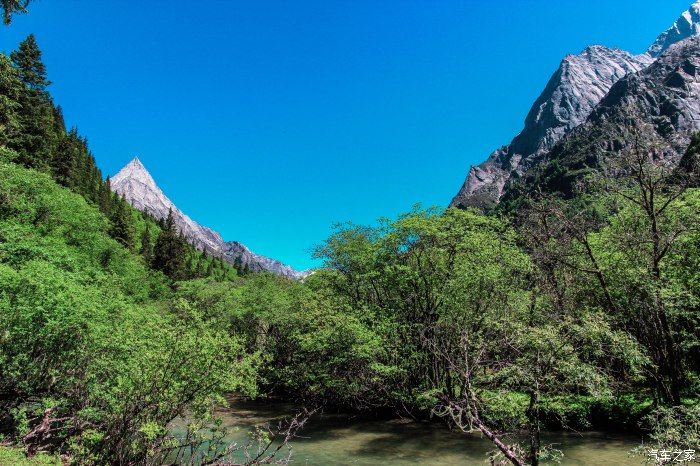 枯树滩|东方圣山，户外天堂——四姑娘山自驾徒步之旅