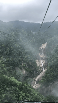 GIF|搞笑GIF:我真的没想到,那个女孩像我一样真的很喜欢葛优烈。