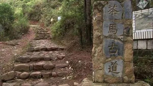 雪峰山上的千年茶马古道