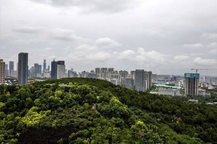 云雾满山飘泉城|云雾满山飘泉城美景一幅好画