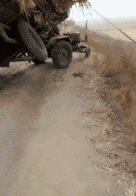 |搞笑GIF段子:理发店小哥也有心情暴躁的时候