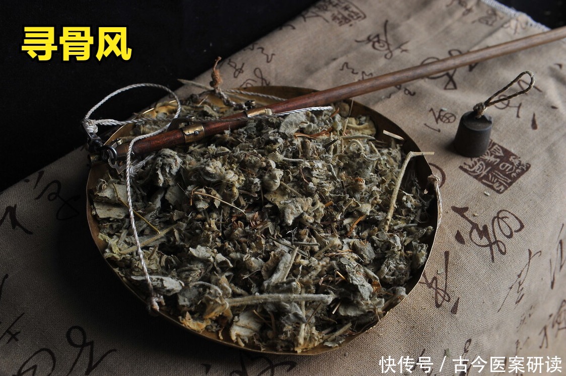 风湿痛|寻骨风,身边的伤药,治风湿痛、手脚麻,外用、泡酒、煎水都可以