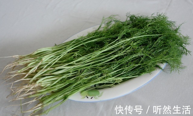 鱼腥草|66种野菜大图片，带你见识不同的野菜和吃法，你想要的野菜这里有