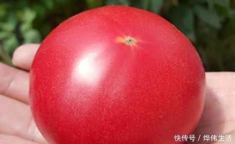 化学物质|西红柿的错误食用方法,还有人一直错着吃,为家人健康早了解
