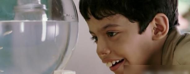 孩子|豆瓣89《地球上的星星》每一个孩子都是特别的