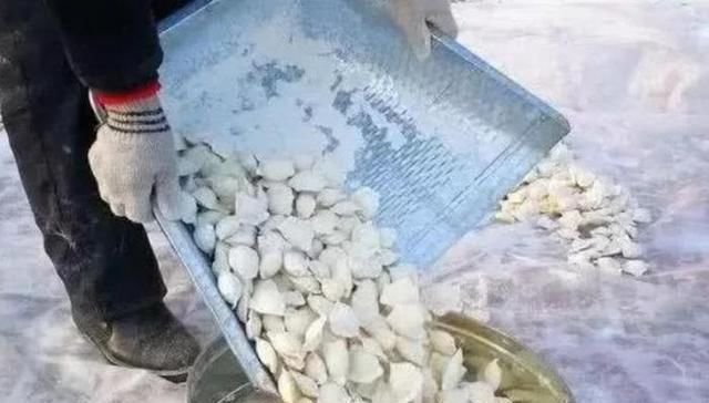 东北人雪天“晒”饺子,场面格外壮观,南方人不解不脏吗