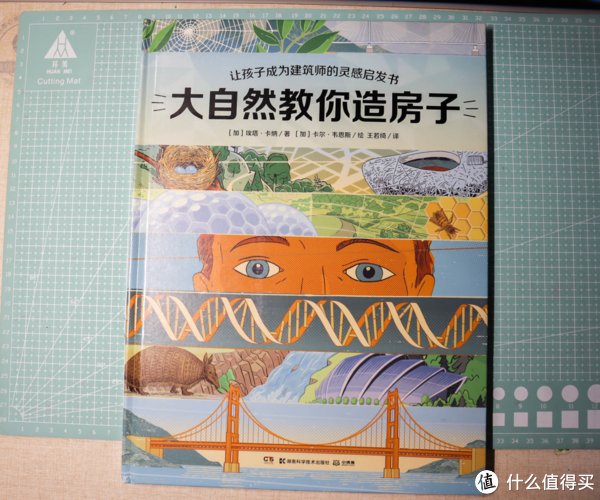 准小学生预备计划~普通人的幼小衔接学习计划分享与心得体会