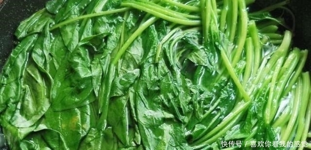 阳春三月,此菜正当季,一块钱一把,用来包饺子比荠菜韭菜馅香