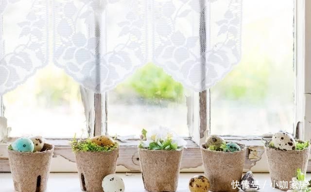 花草|冬季养花,晨起少做4件事,花草或会“感激”你