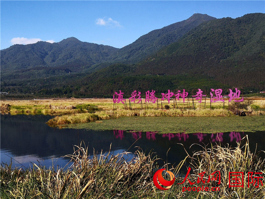 保护区|北海湿地保护区，一座神奇的“水上草原”