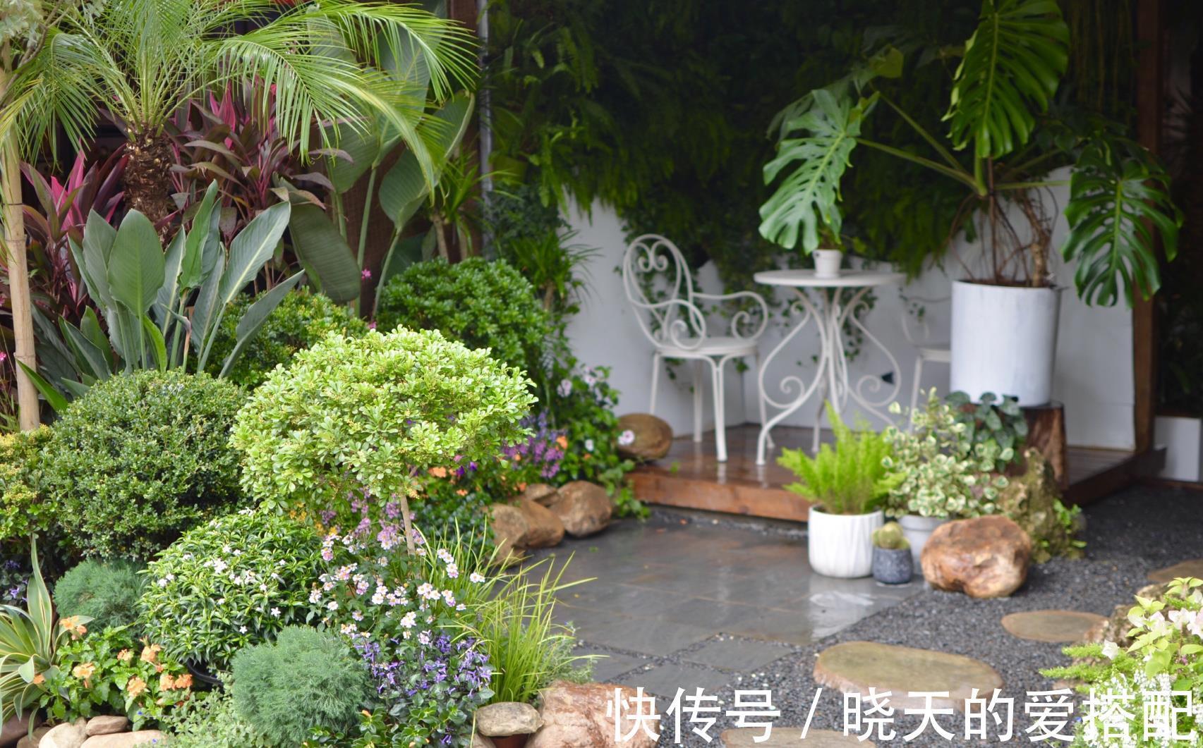 治愈系|小空间庭院花园，正确的绿植搭配技巧，让小院落变身治愈系小花园