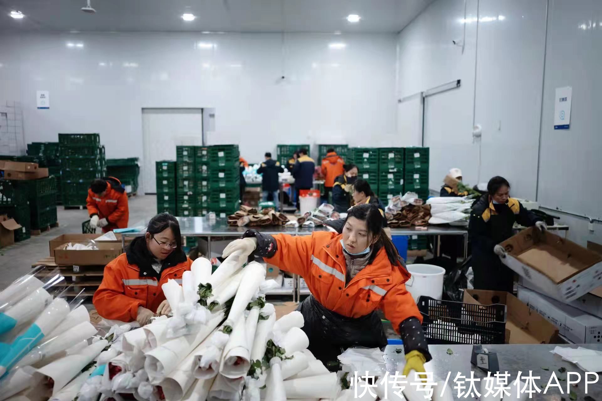 绣球|借力生鲜仓，卖菜的盒马跑通了鲜花生意