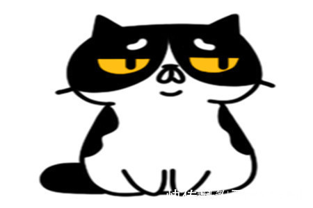 |幽默笑话:昨天俺结婚,接亲一路畅通无阻,丈母娘笑的特别开心