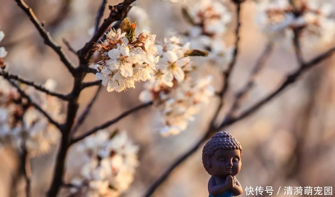 中医名家李辛：所有的病，都是这样才来的！疗愈秘诀免费送给你！