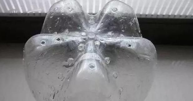 丢掉这些“废弃物”，养花损失可就大了