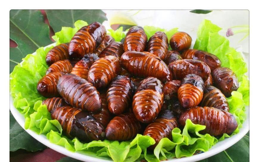 肾虚|藏在身边的天然“补肾药”, 男人每天吃一点, 让你肾动力十足