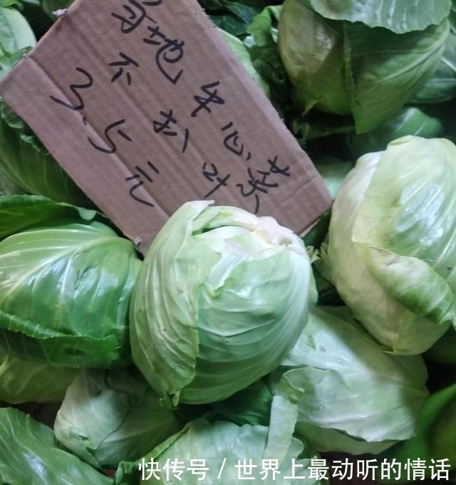 买包菜,选尖头形还是圆头形的?品质差别可挺大,别买错了