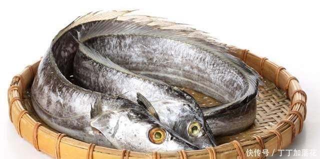 买带鱼别管大小,认准这4种买准没错,肉质厚嫩鲜美,保证新鲜