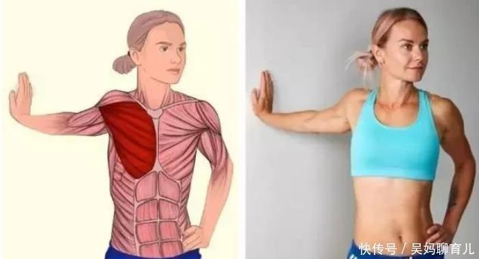 腘绳肌|全身拉筋3D图解,一步到位,在家也能强身健体