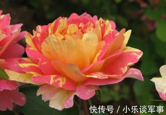 旧爱|1周后,桃花重现,前任回归,携手旧爱,真心相随,收获命中姻缘