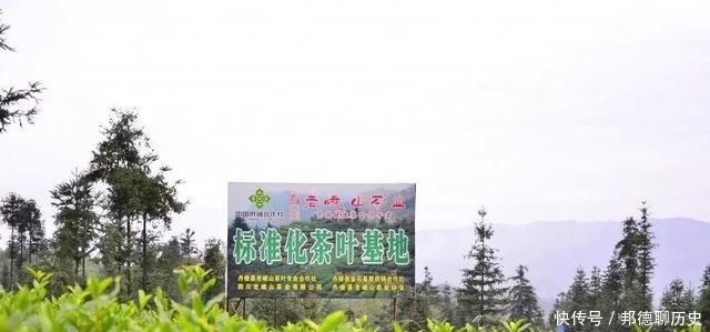 文物|在张场我们发现了明代的文物~