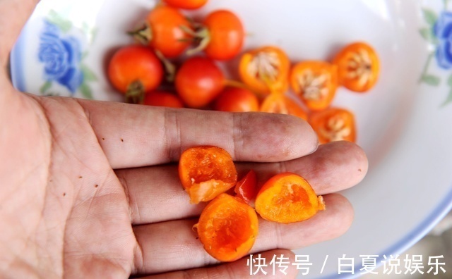 农村|这个野果在农村并不常见,我从六岁吃到十三岁,却不知道它的名字