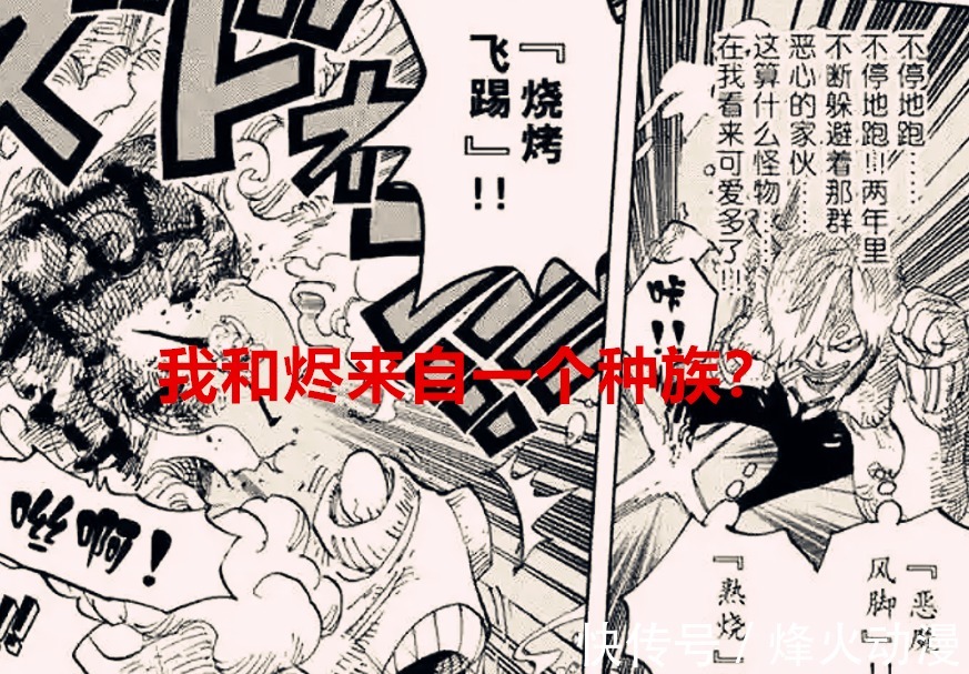 马尔科|海贼王1023话:红土大陆上存在过神之国,山治与烬来自同一种族?