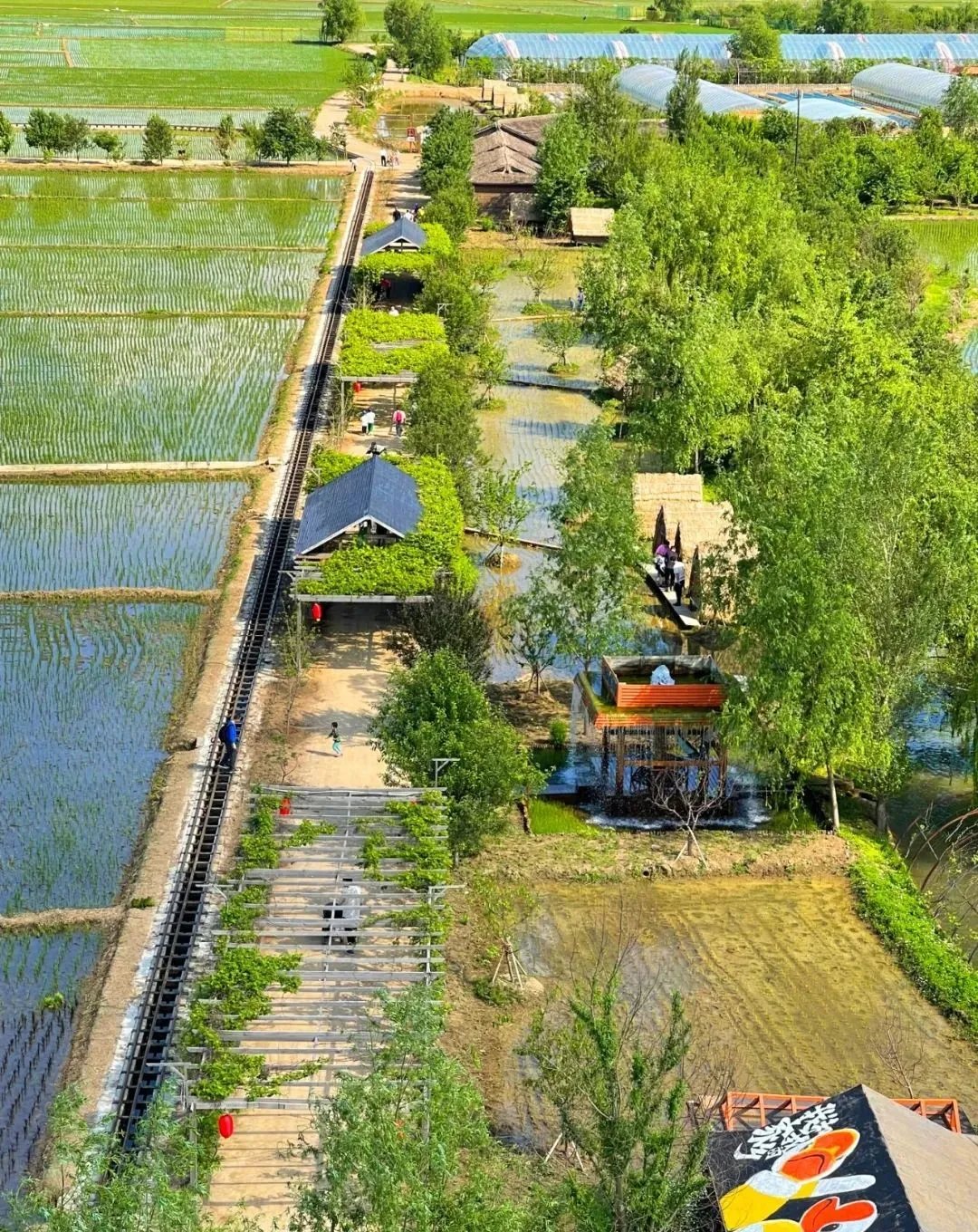 全国首条稻田小火车，在辽宁