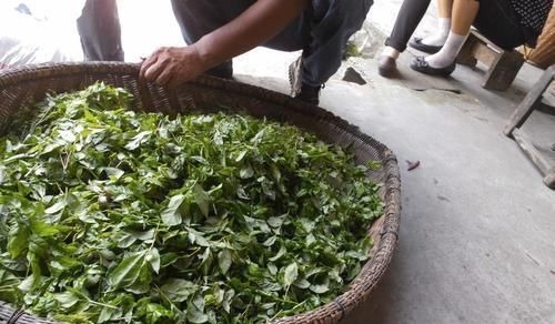 良性肿瘤|患上子宫肌瘤要淡定,6种食物坚持吃,助你活血化瘀、消除肌瘤