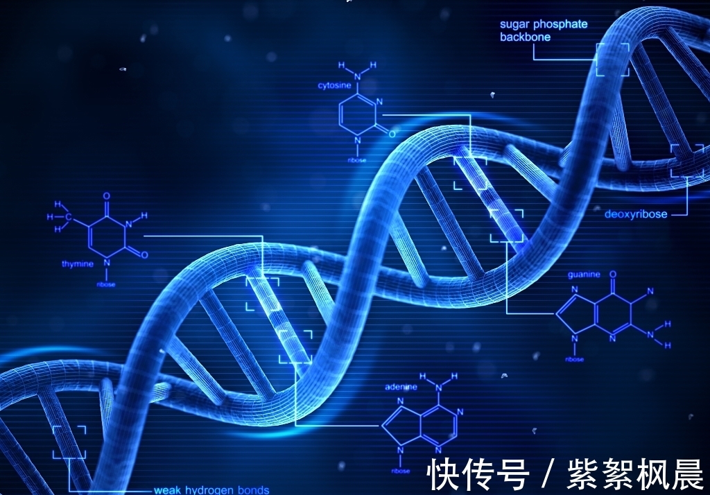 价值观@命运该如何改写,超越自我精神和文化层面的另一个自己,你看不见