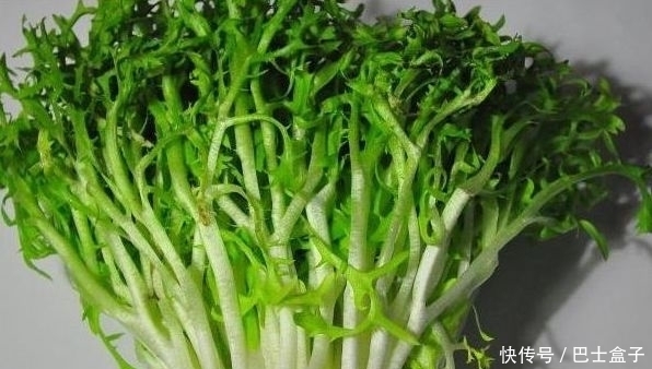 谁吃谁好的几种野菜，推荐常吃，清热解暑，养肝明目、抗菌消炎
