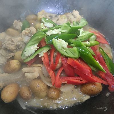 水果|黄皮(水果)炖鸡