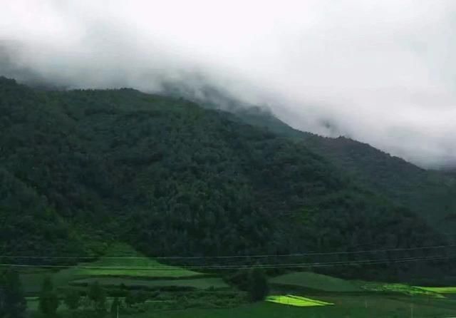 刘宇鸿|酷暑，哪凉快去哪儿待……