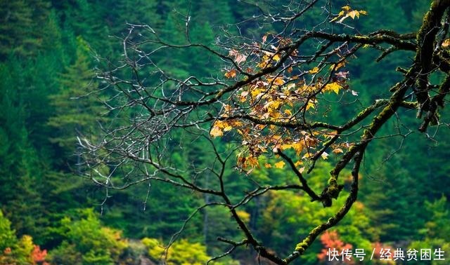 黄山|6A级景区箭在弦上，这10个景区应该入选，来看看你去过几个了