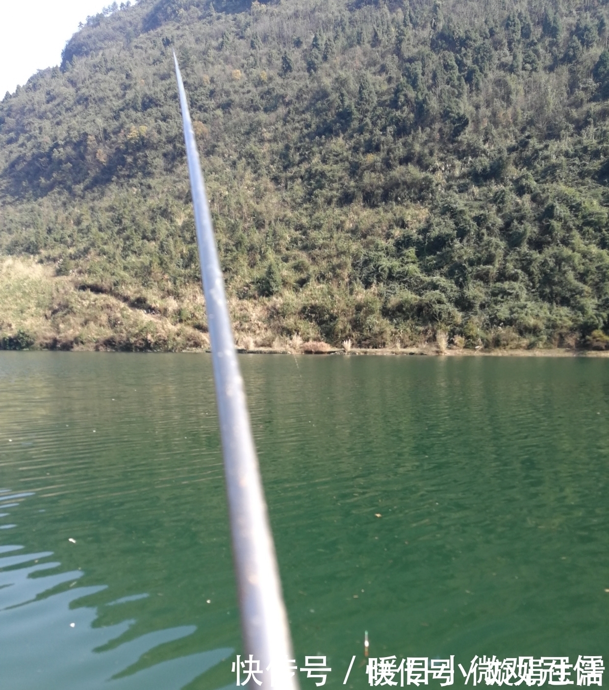 技巧|垂钓鳙鱼的技巧,饵料和垂钓方法用对才是制胜关键