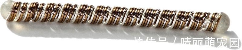 血糖水平|还在埋头扎手指?7款血糖监测新仪器拯救糖尿病患者