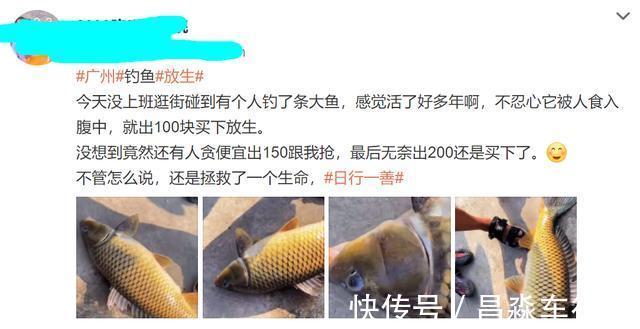 广州男子珠江钓起“鲤鱼王”,一米长全身金黄,路人争相出价购买