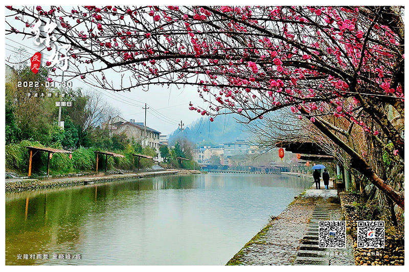 安隆村雨景|庆元特色日历（2022年1月30日）| 安隆村