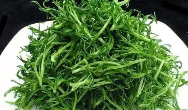 鹿耳韭|中国最好吃的6种极品野菜，你若是全吃过，请收下我的“膝盖”