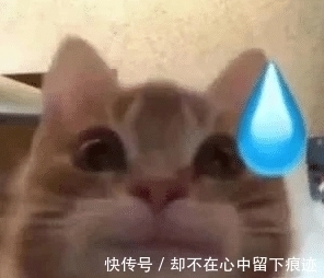 蔡康永|24个字近一半写不出，他被嘲冤吗？