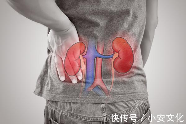 中医|冬天养生养肾！2个中医补肾食疗方，或能助你补气养肾，精力满满