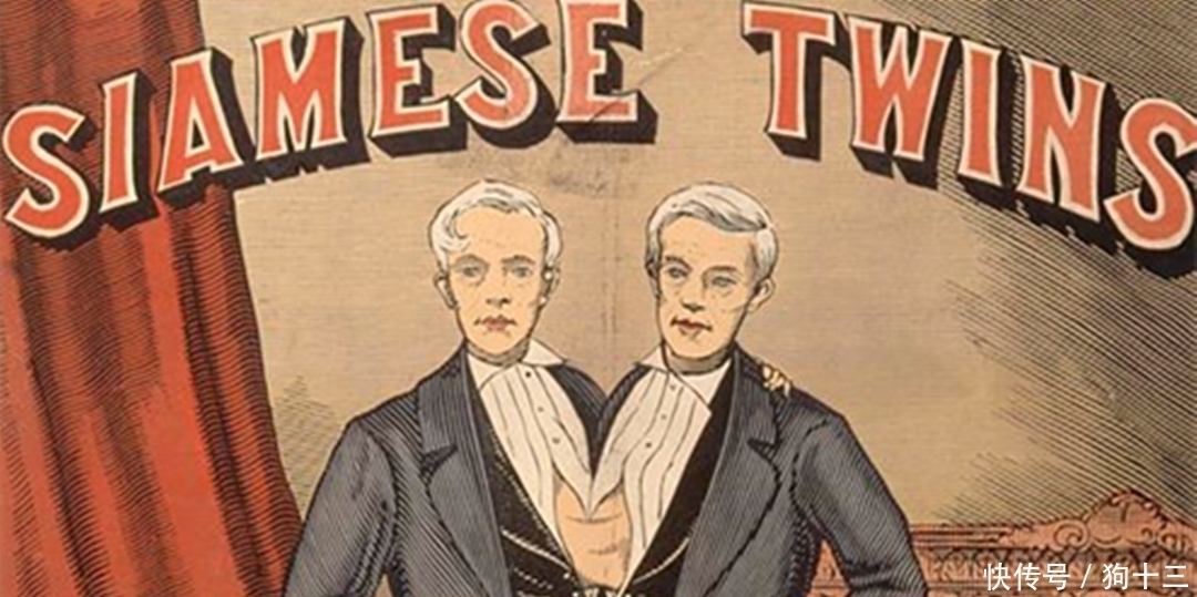 连体婴儿|连体兄弟也能暴富?娶英国姐妹,四人同床竟生下22个孩!