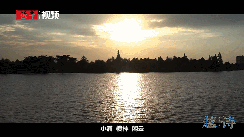 小浦|【越诗】横林待鹤归