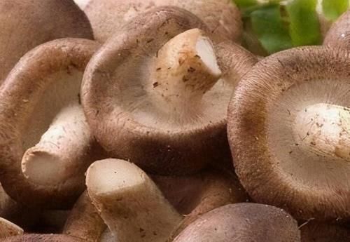 增强体质|羡慕别人不生病，3种食物要多吃，补充营养，增强体质