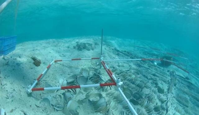 海底|真有海底宝藏康熙沉船5万件青花瓷,市值5亿美金无压力