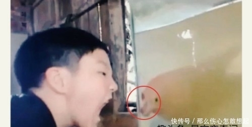 作势|小男孩面对鱼缸扮鬼脸,作势要吓鱼,随后发生的事,无法淡定