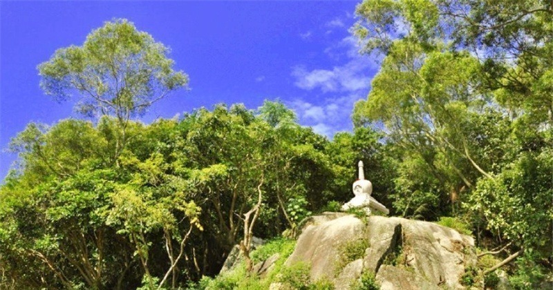 曾祖母!外国公主流落中国,拒绝回国继承千万遗产,霸气回复:我是中国人