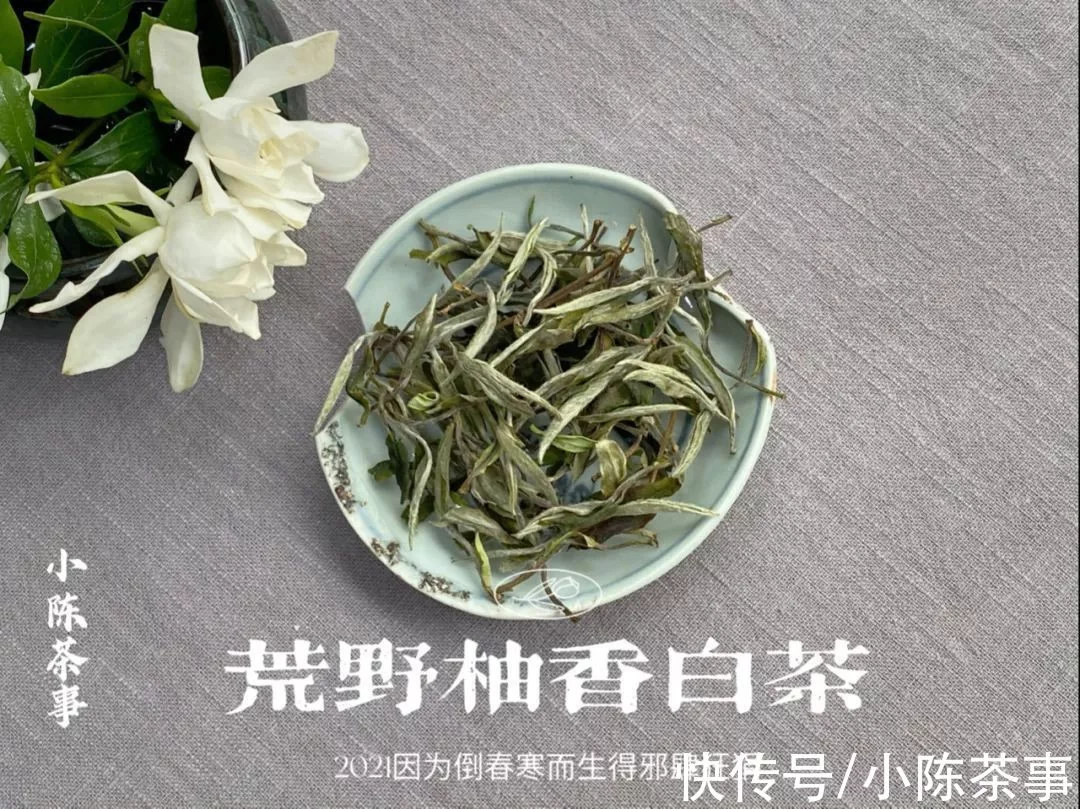 这才是我们小陈茶事的“双11”，是的，我们的，当然也是茶友们的